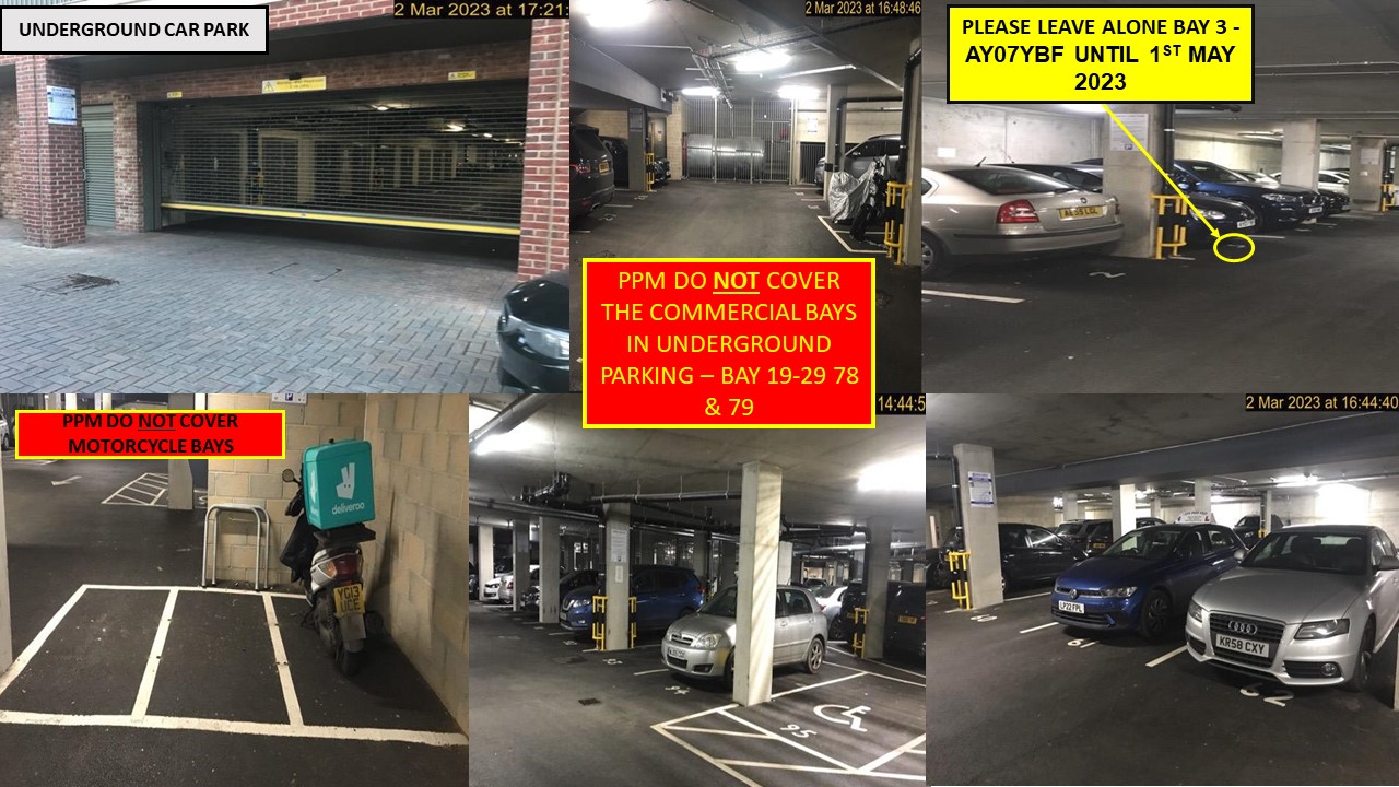 LEXICON 151 Sheldon House, 156 Bellow House, 151 Wallace House, 1